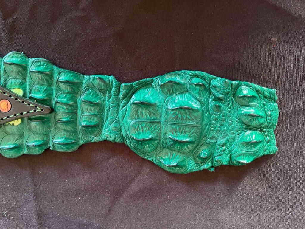 Crocodile Paddle