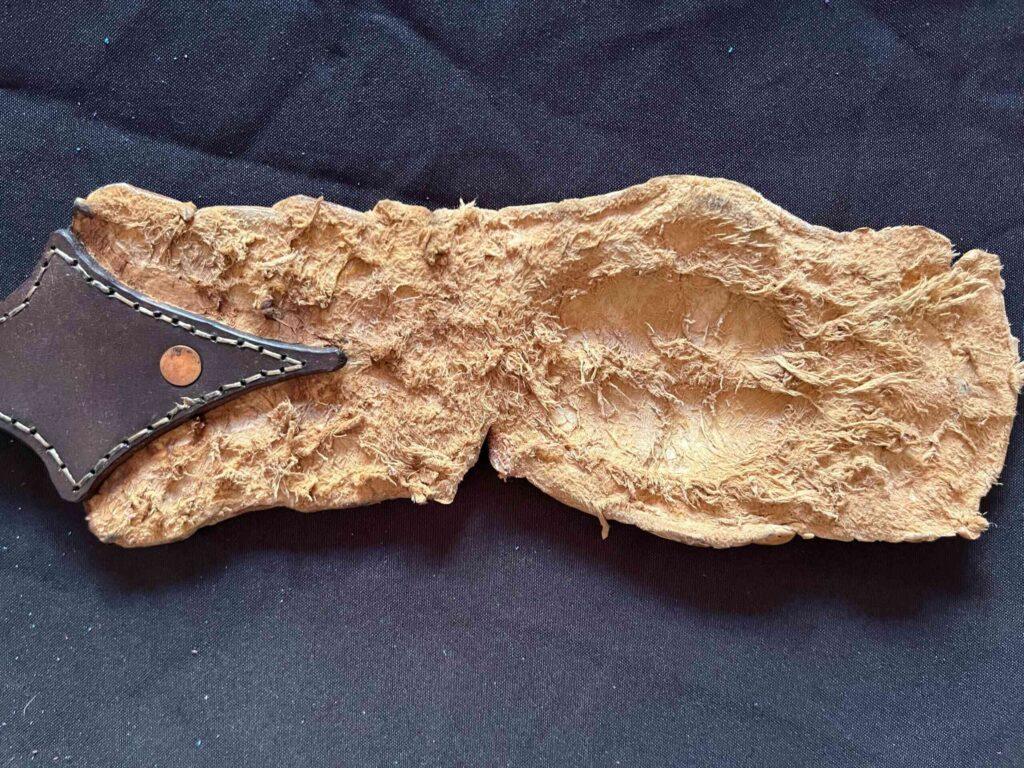 Crocodile Paddle