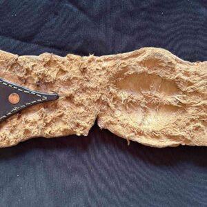 Crocodile Paddle - Image 2