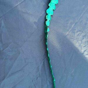 Crocodile Cane - Image 12