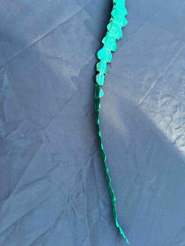 Crocodile Cane