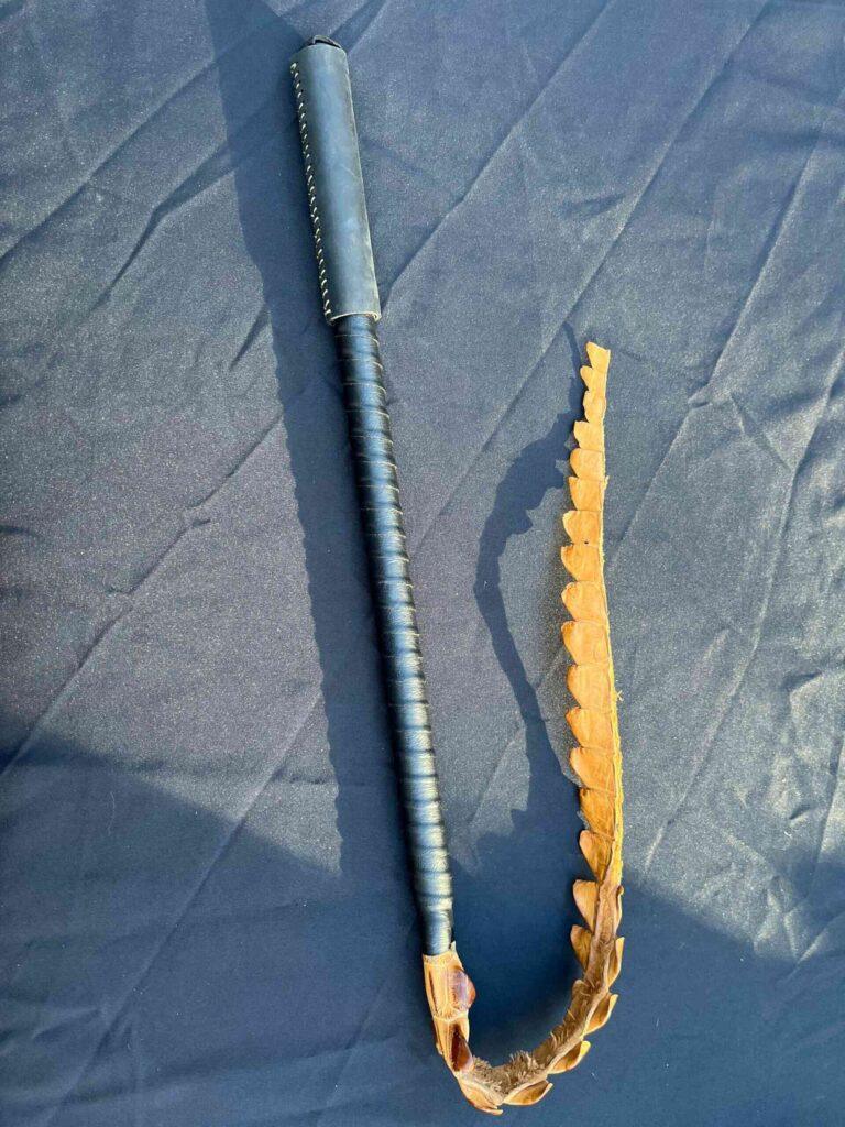 Crocodile Cane