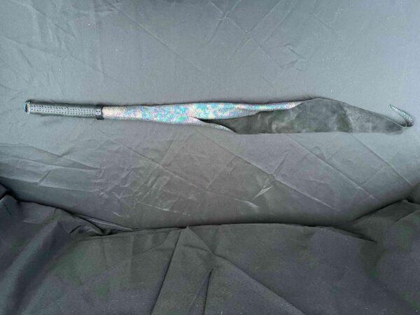 Dragon Tail - Single